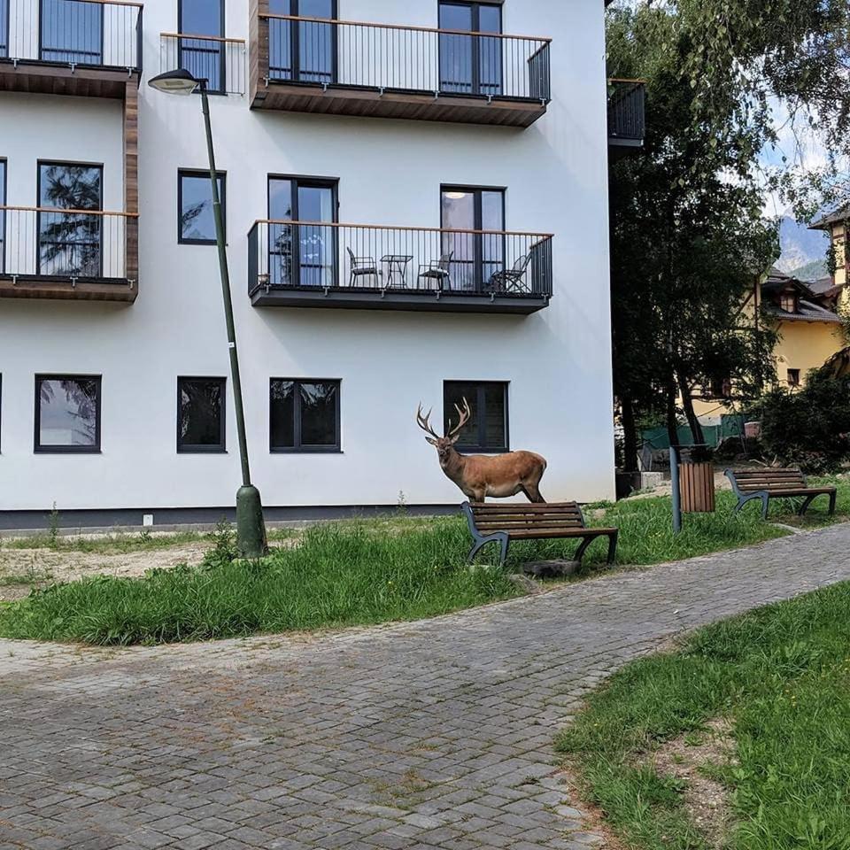 Apartman Hory - V Srdci Tatier Vysoké Tatry Exteriör bild
