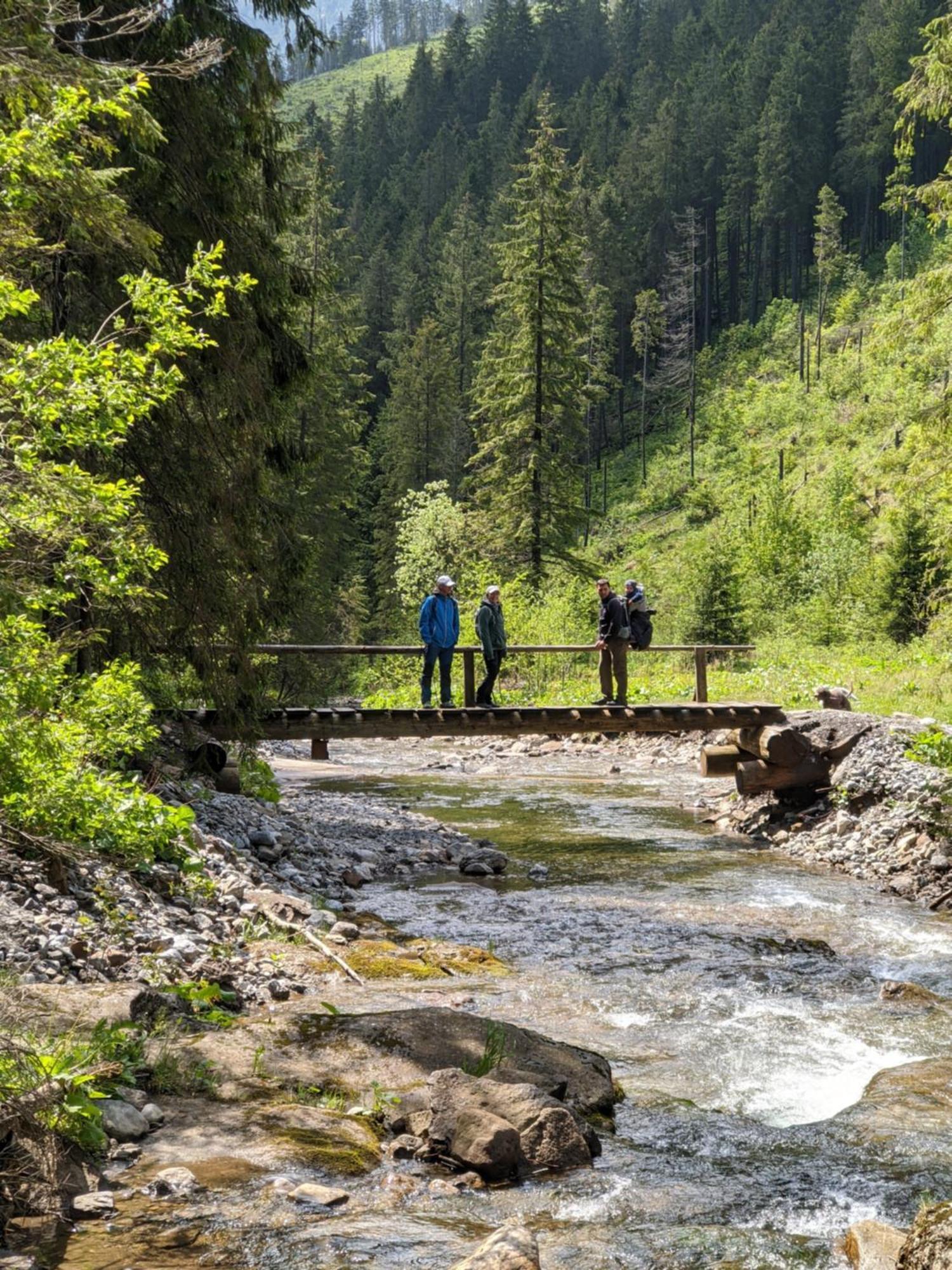 Apartman Hory - V Srdci Tatier Vysoké Tatry Exteriör bild