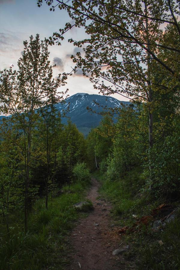 Apartman Hory - V Srdci Tatier Vysoké Tatry Exteriör bild